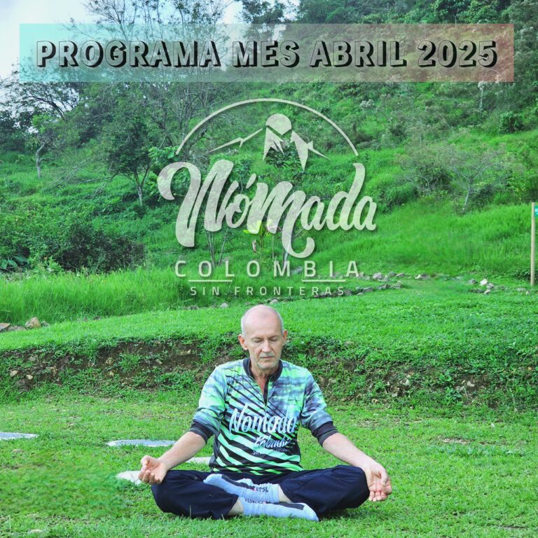 InShot_20250306_125813663