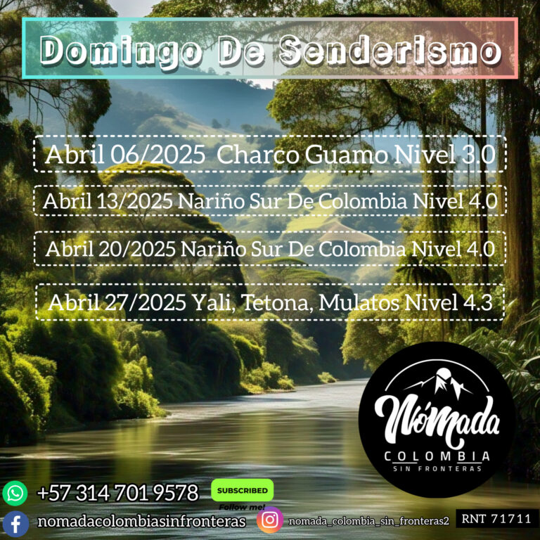 InShot_20250307_211113264