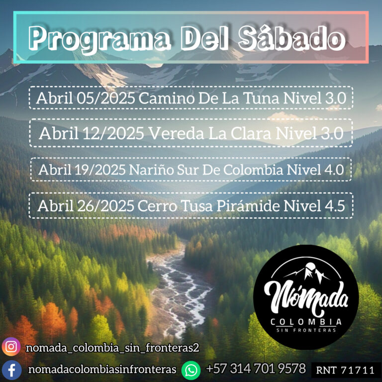 InShot_20250307_212534362