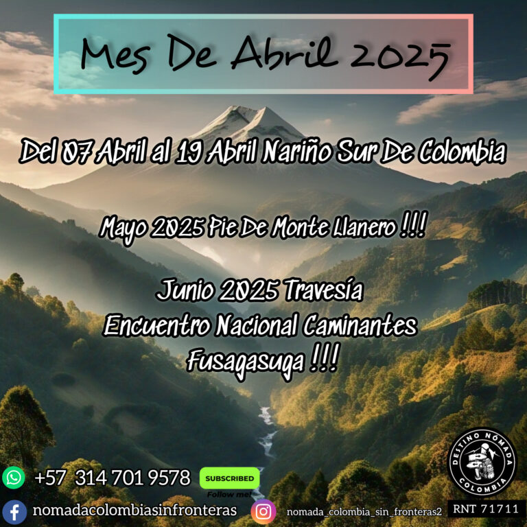 InShot_20250313_104254351