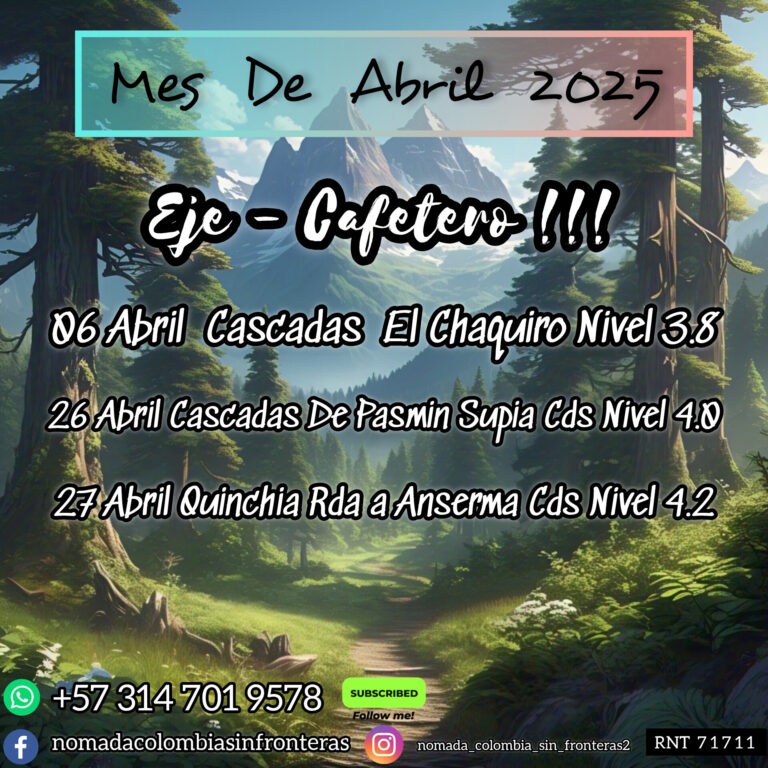 InShot_20250313_152803434